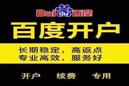 搜索引擎营销（SEM）的创意与执行——以多个行业成功案例为教学